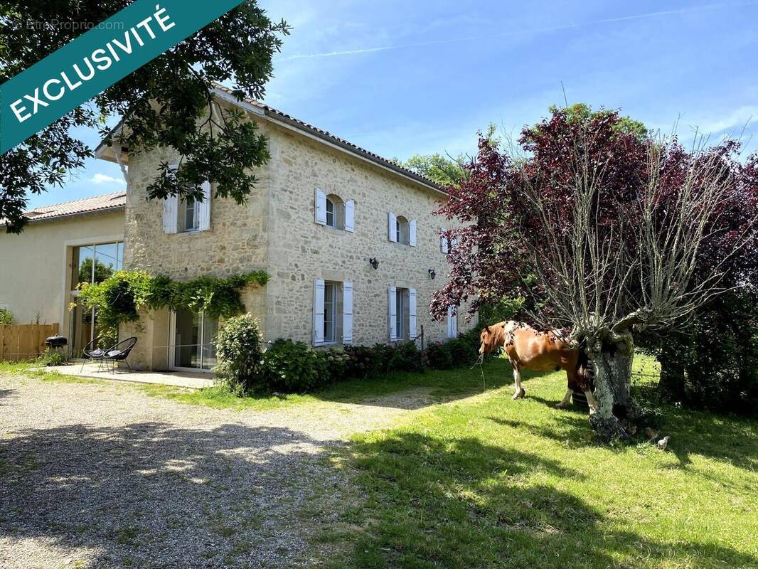 Photo 1 - Maison à MONSEGUR