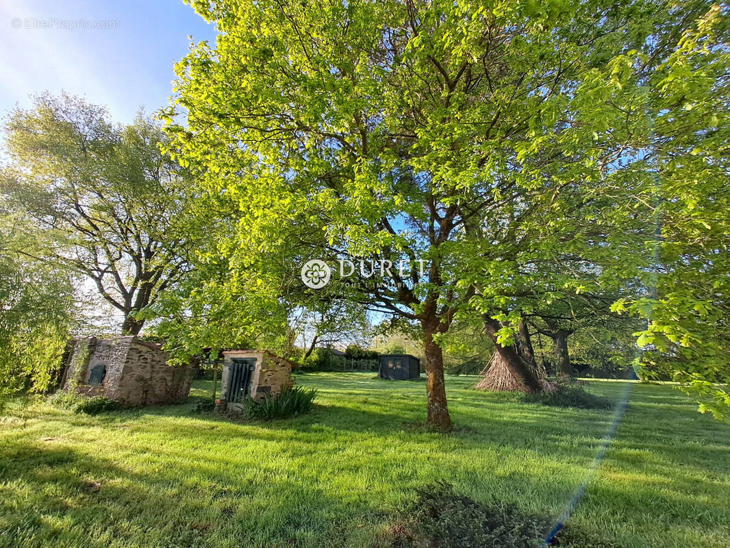 Maison à SAINT-VINCENT-SUR-GRAON