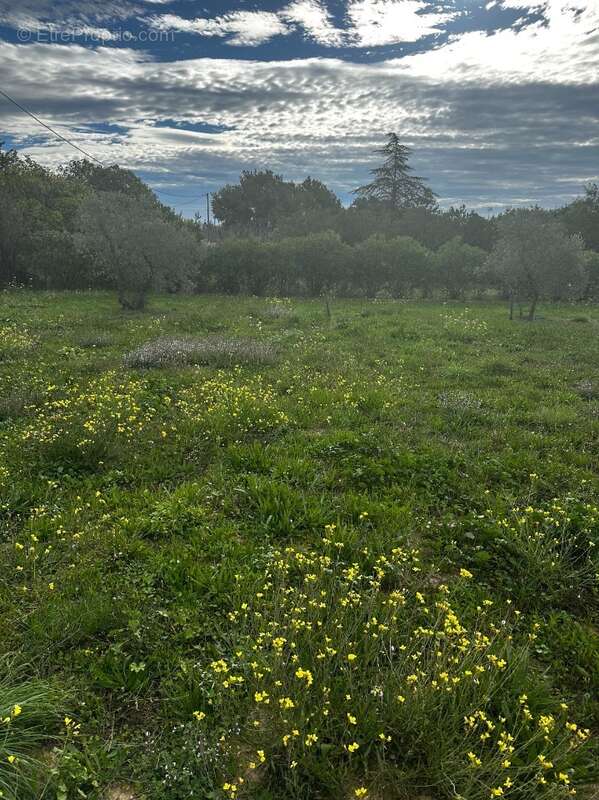 Terrain à SAINT-CANNAT