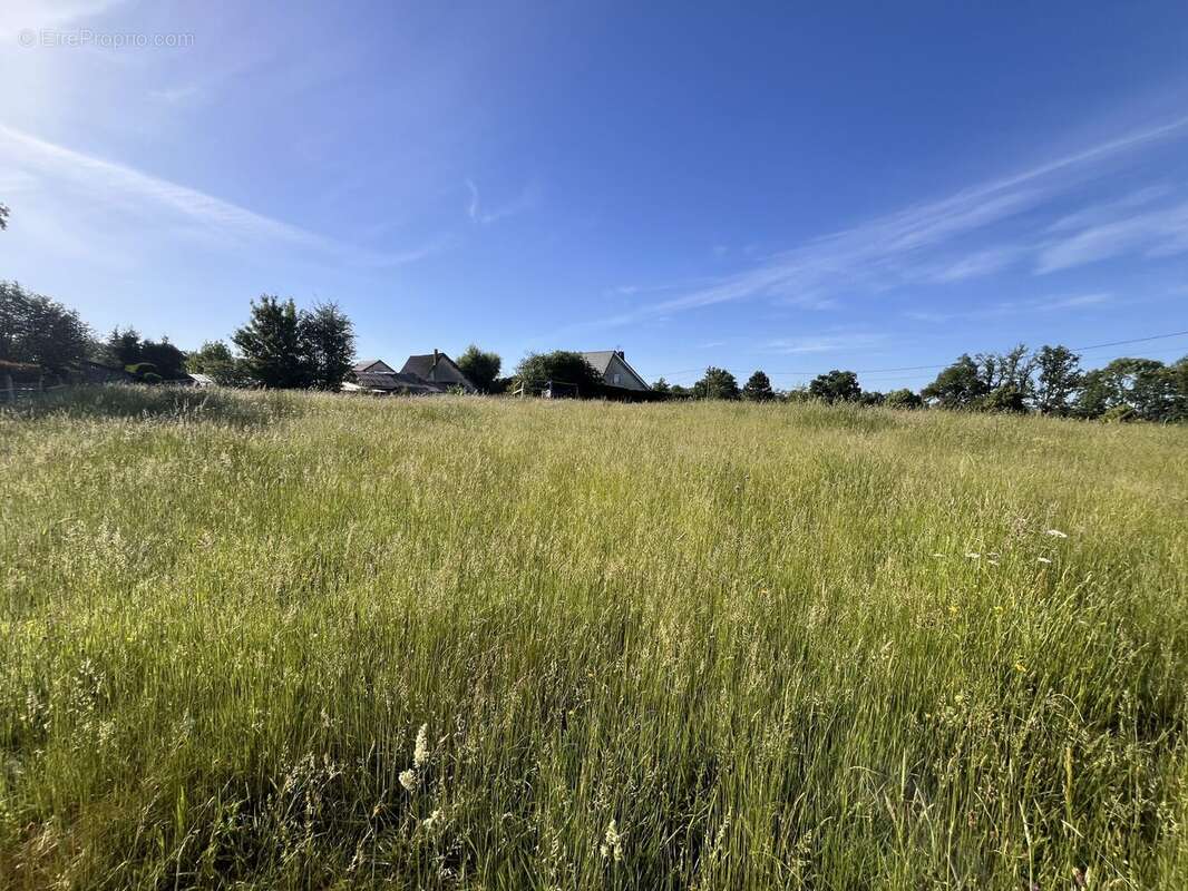 Terrain à MAURIAC