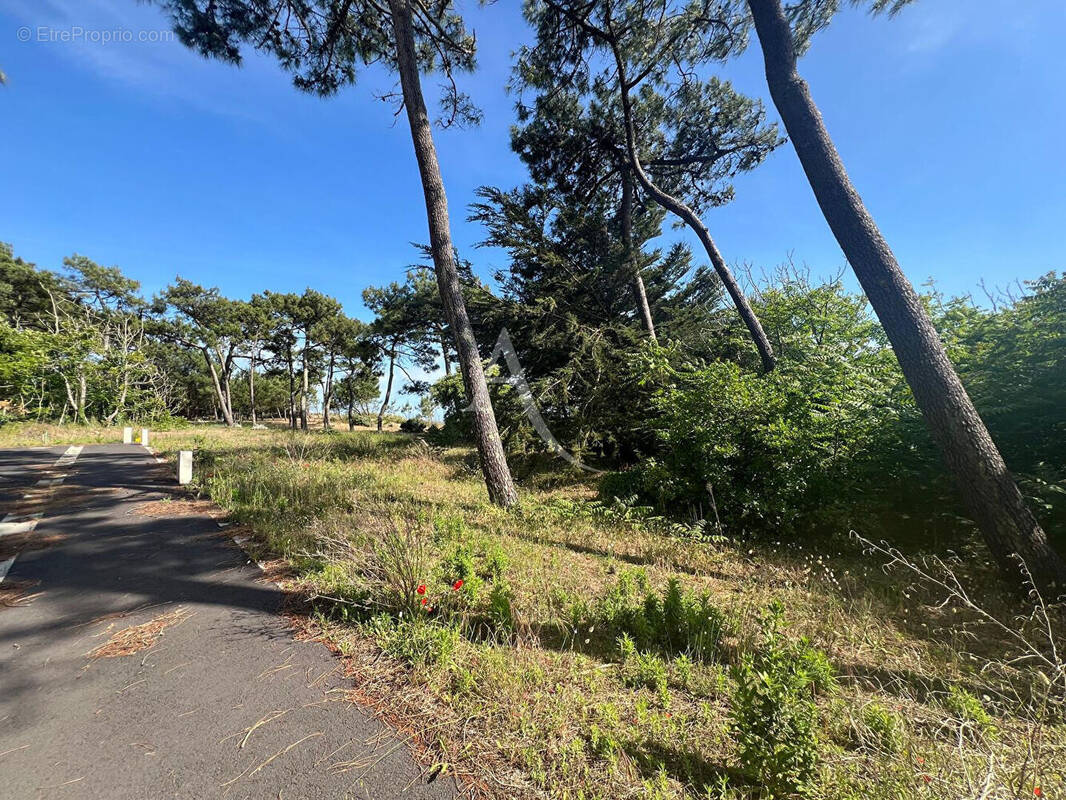 Terrain à LA TRANCHE-SUR-MER
