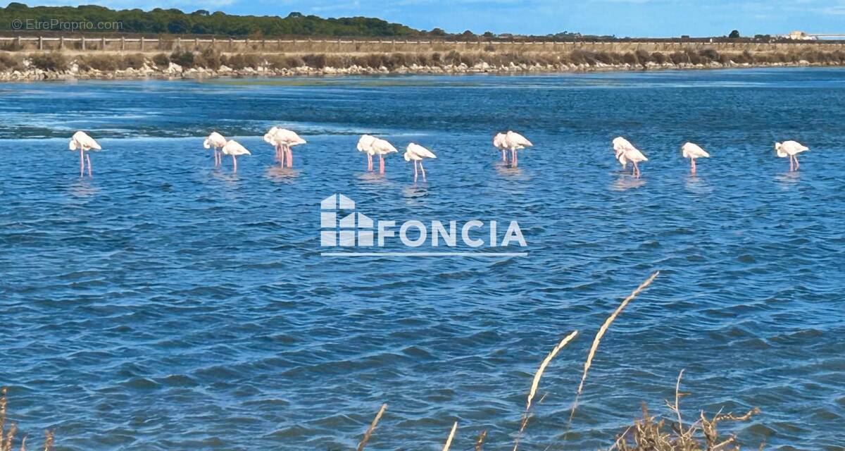 Maison à FRONTIGNAN