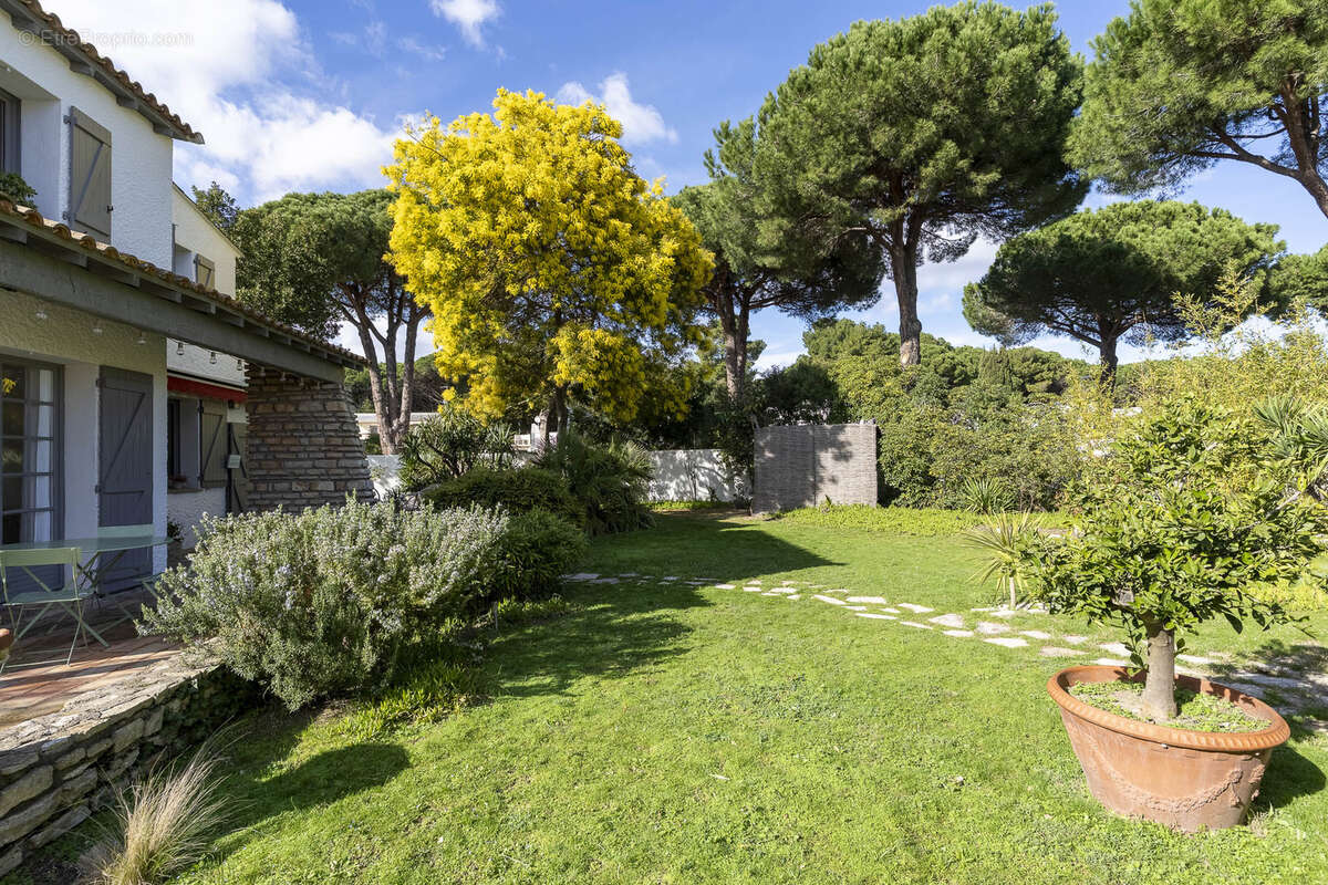 Maison à LA GRANDE-MOTTE