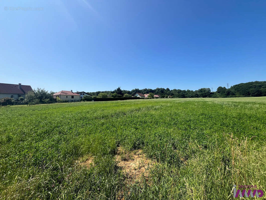 Terrain à BAVILLIERS