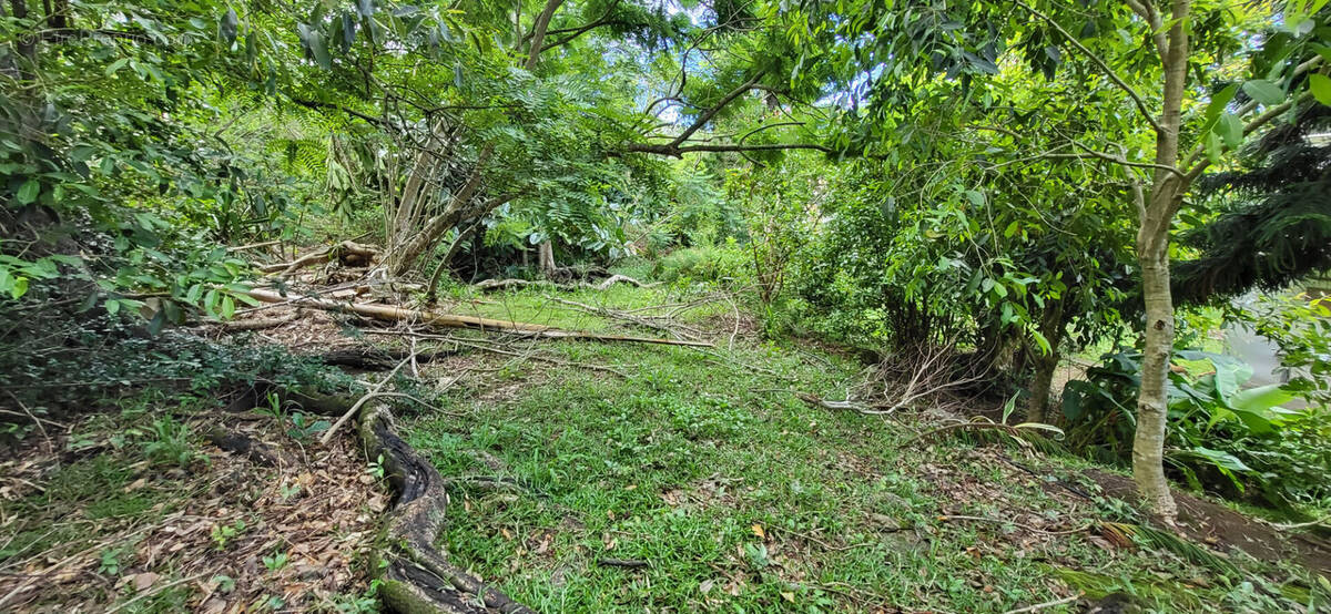 Terrain à SAINT-DENIS