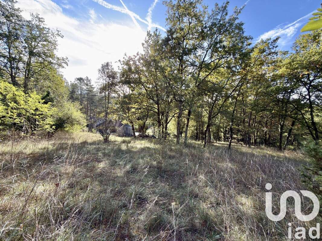 Photo 5 - Maison à AUBAS