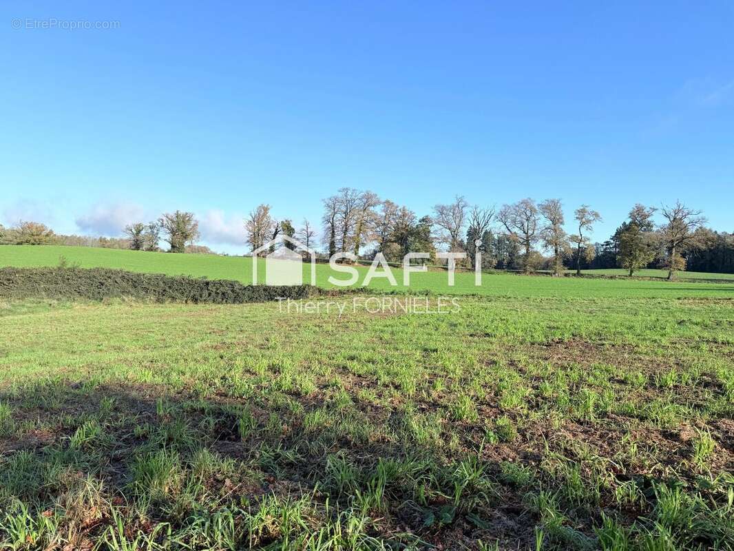 Photo 2 - Terrain à SAINT-JUST-LE-MARTEL