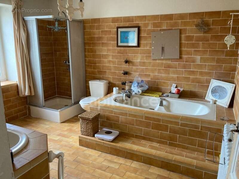 Maison à TREMENTINES