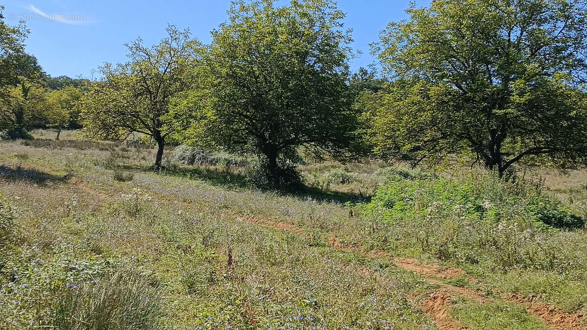 Maison à CHERVEIX-CUBAS