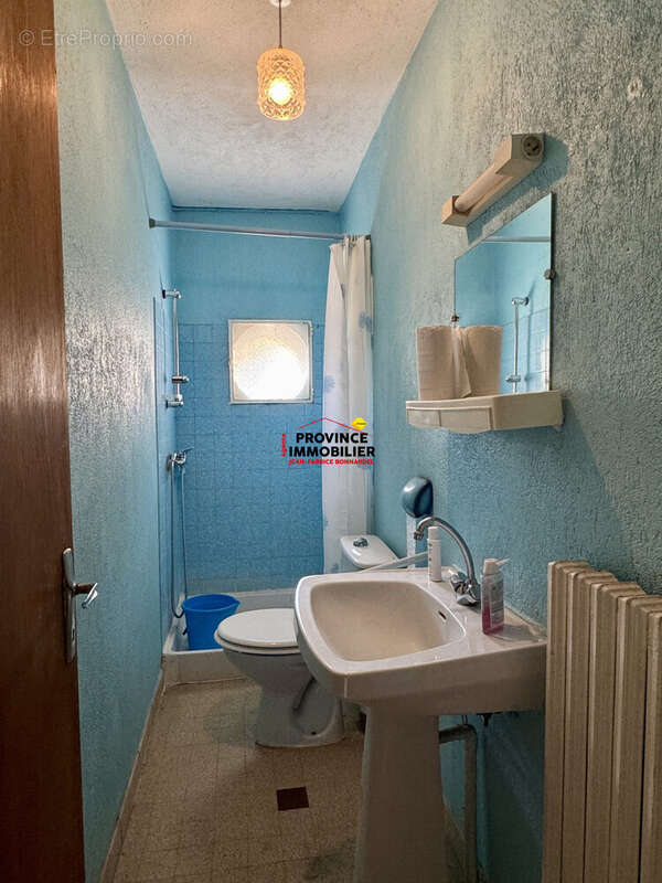 Maison 60 m² à Sainte-Cecile-Les-Vignes  - photo 8