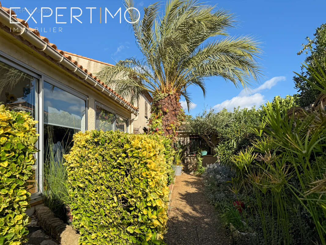 Maison à VILLENEUVE-LES-MAGUELONE