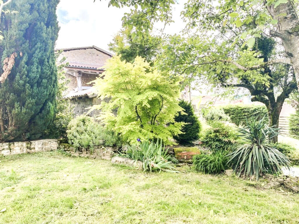 Maison à SAINT-JEAN-LE-VIEUX