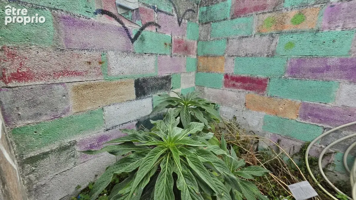 Maison de pêcheur avec jardin en centre-ville - photo 13