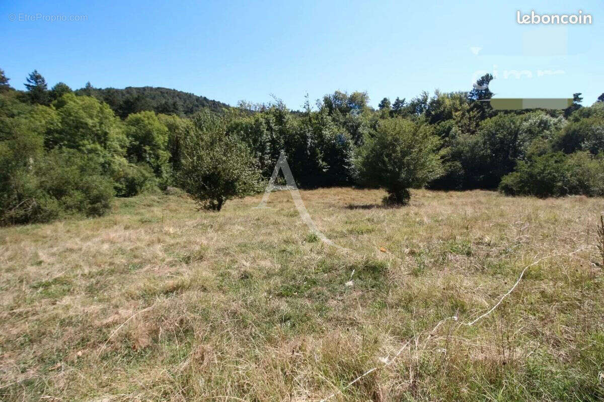Fourtou (11190) ? maison de caractère de 280 m² ? 5 chambres ? appartement indépendant ? terrasses ? cave ? terrain de 2 930 m² - photo 14