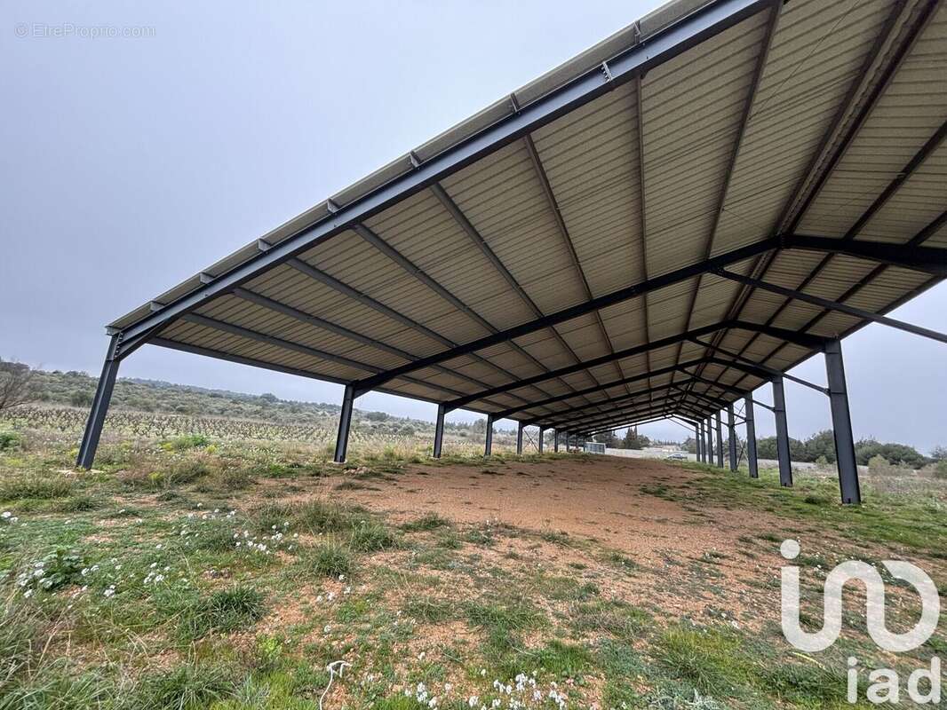 Photo 5 - Terrain à SIGEAN