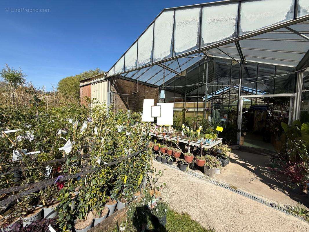 Commerce à LES VANS