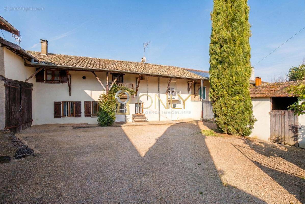 Maison à MONTMERLE-SUR-SAONE