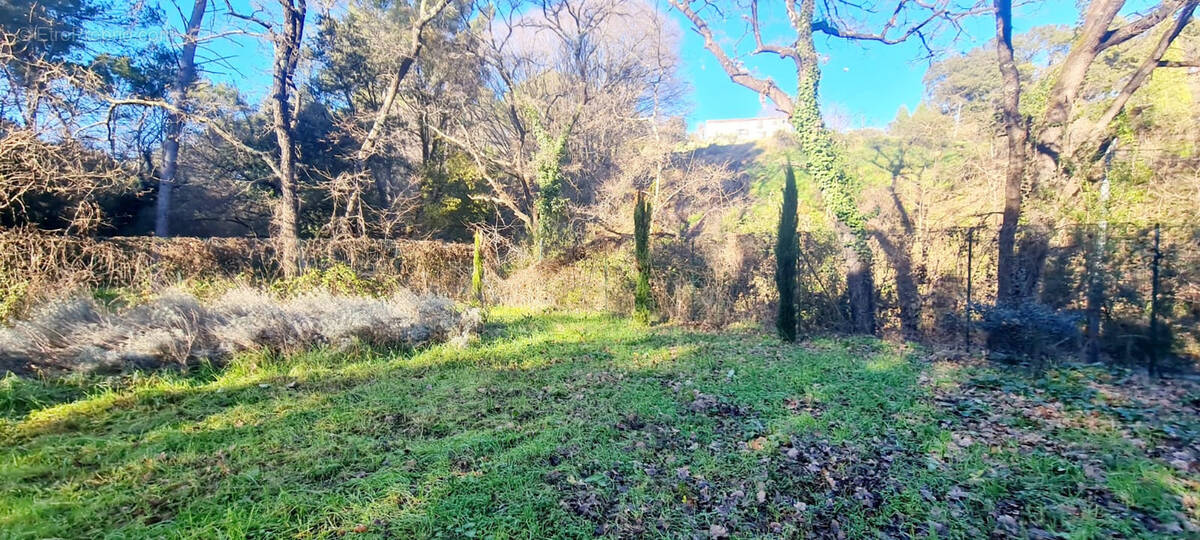 Terrain à LORGUES