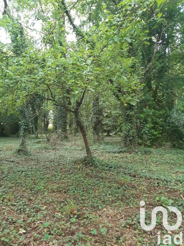 Photo 3 - Maison à GOUDELIN