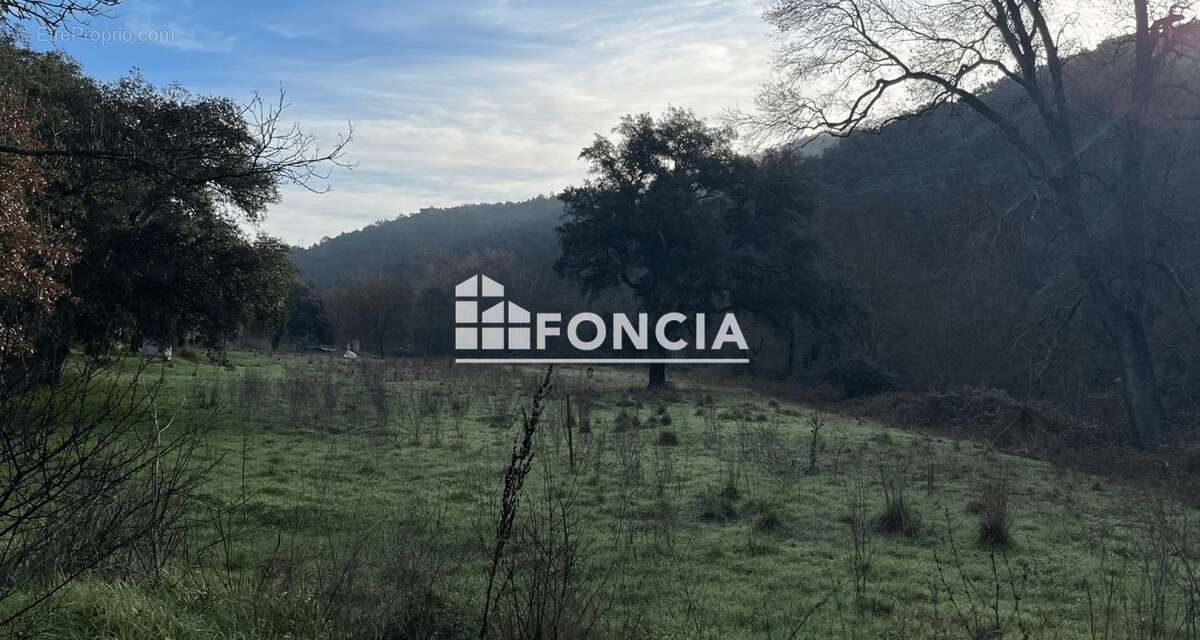 Terrain à COLLOBRIERES