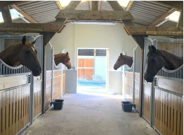 Maison à NOTRE-DAME-D'ESTREES