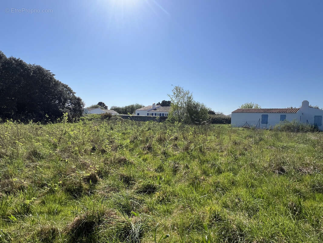 Terrain à L&#039;ILE-D&#039;YEU