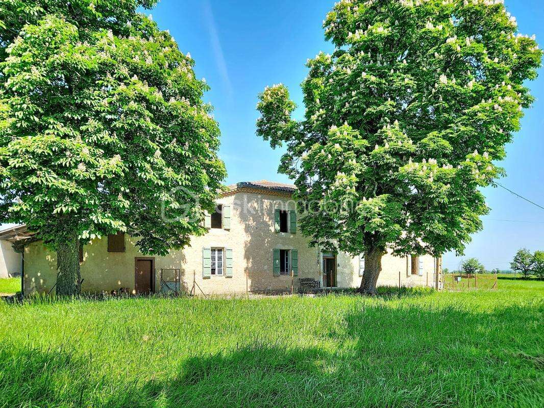 Maison à LECTOURE