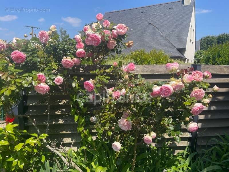 Maison à LARMOR-BADEN