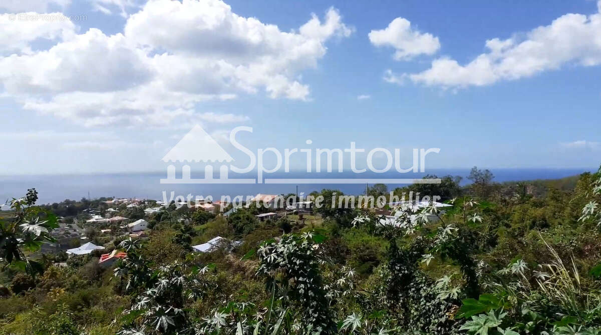 Terrain à VIEUX-HABITANTS