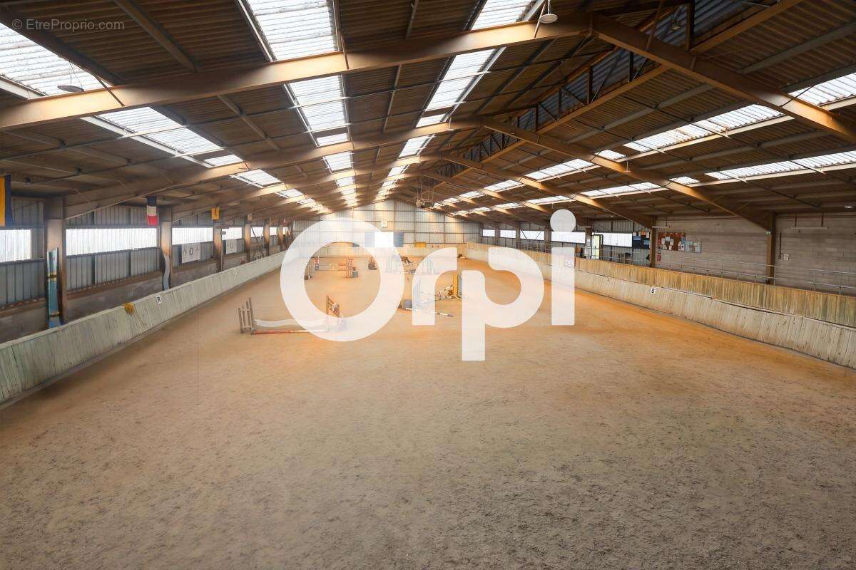 Domaine équestre de 5,5 hectares avec infrastructures de qualité à Cappelle-la-Grande - photo 4