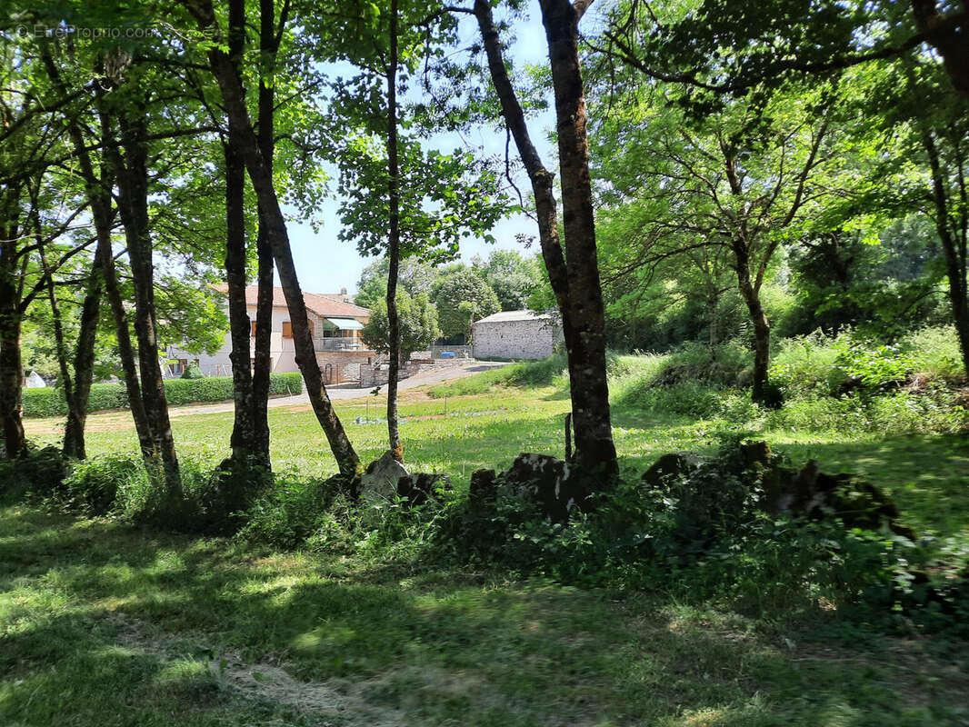 Terrain à VIALA-DU-PAS-DE-JAUX