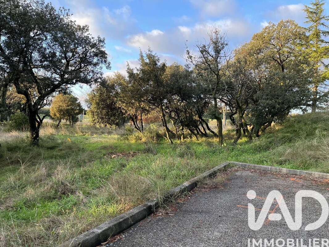 Photo 6 - Terrain à SAINT-MAXIMIN