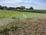 Terrain à ARTIGUELOUTAN