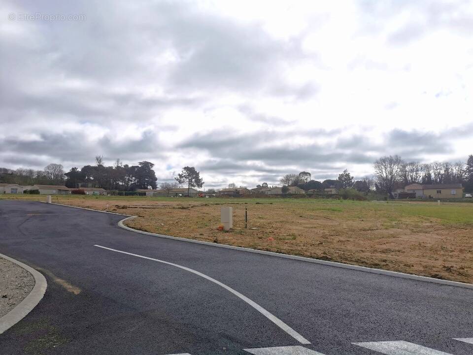 Terrain à VERDELAIS