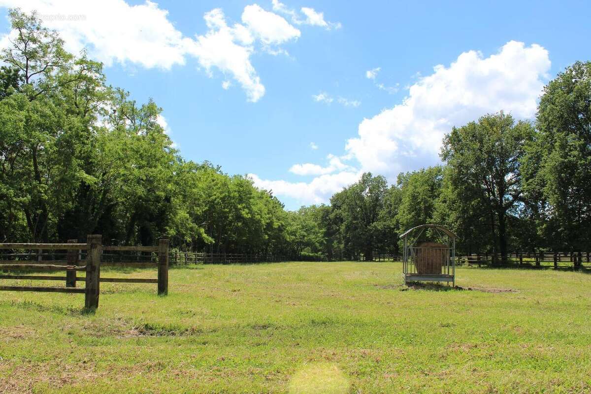   - Maison à SEICHES-SUR-LE-LOIR