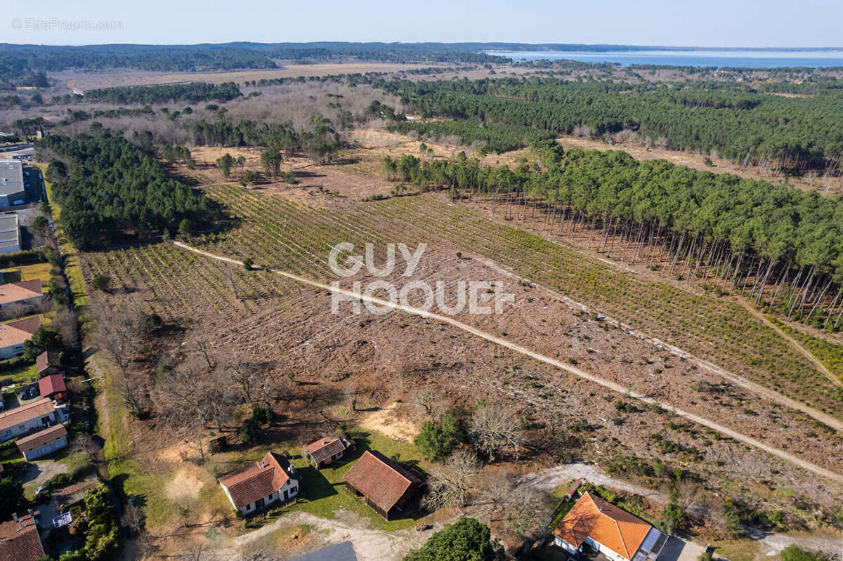 Terrain à BISCARROSSE