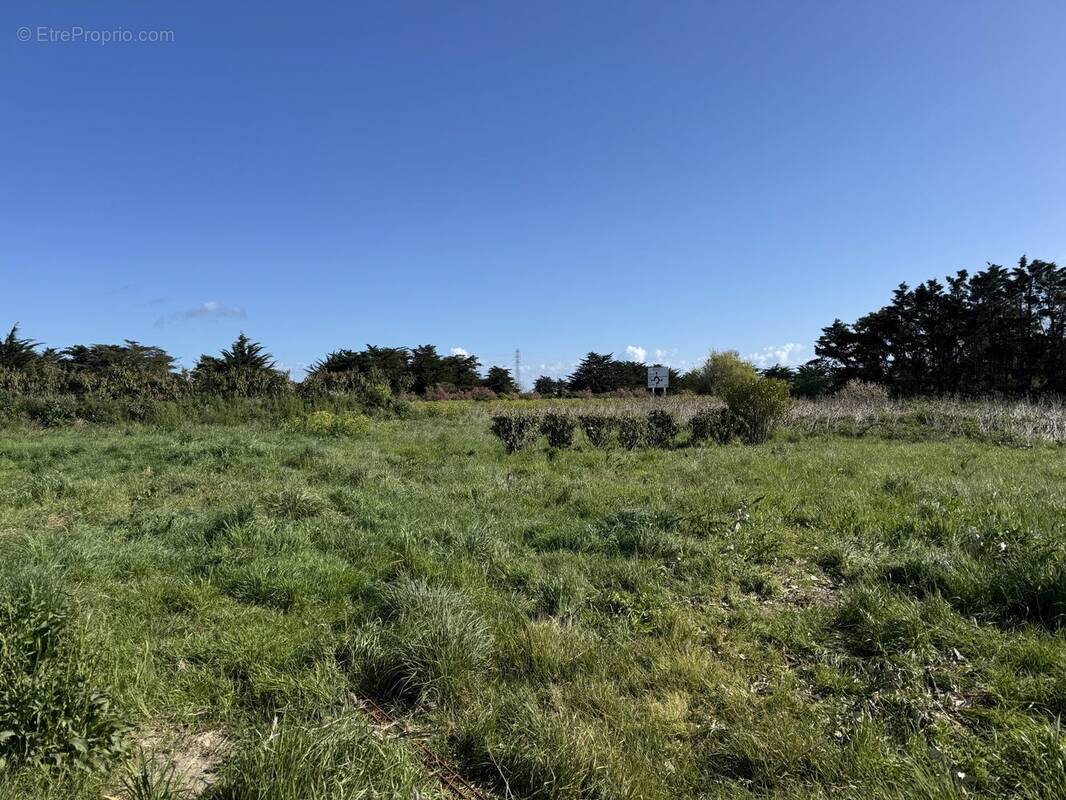 Terrain à LA GUERINIERE