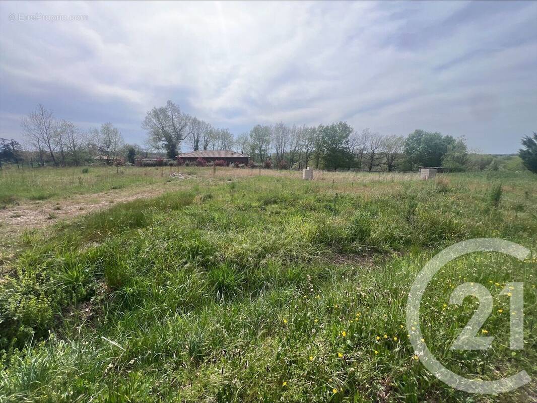 Terrain à MONCLAR-DE-QUERCY