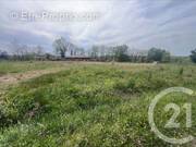 Terrain à MONCLAR-DE-QUERCY