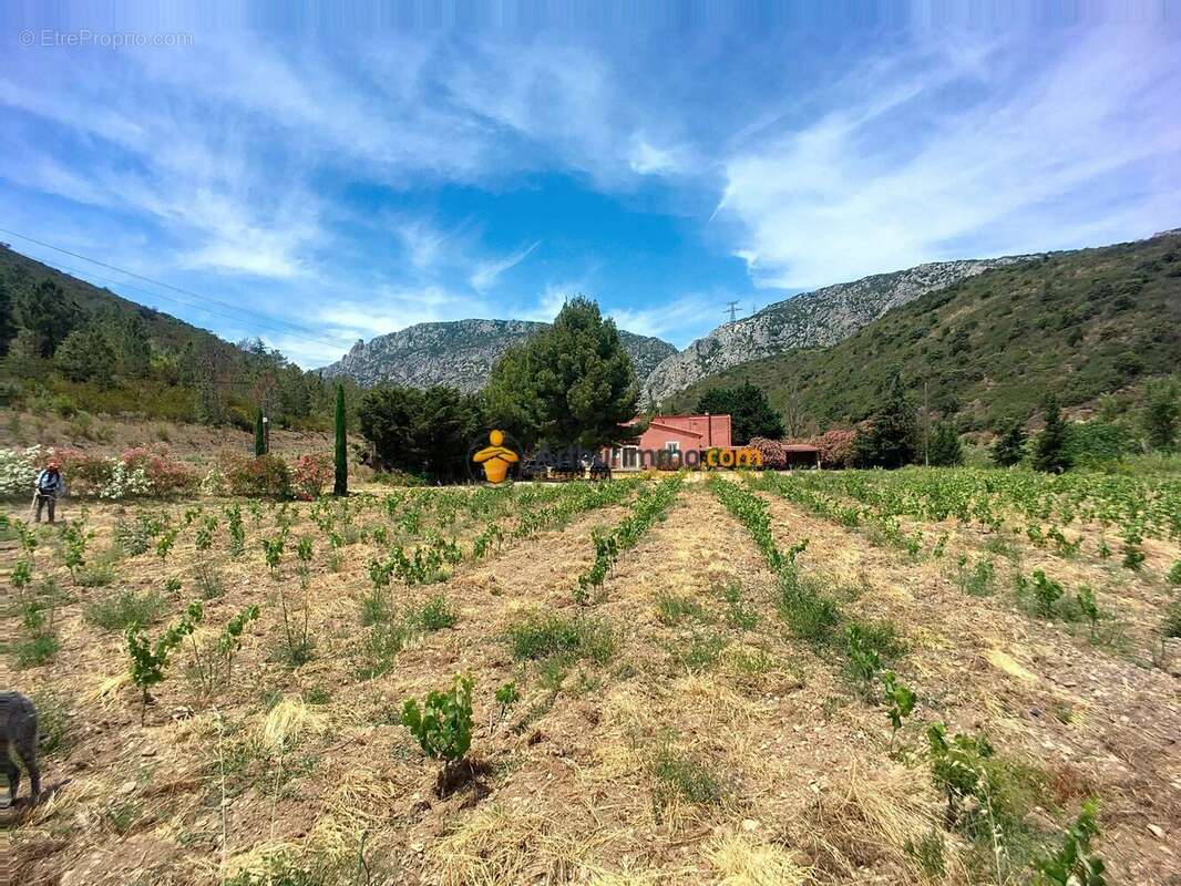 Vente Maison Estagel(66310) 650 000ï¿œ - photo 3