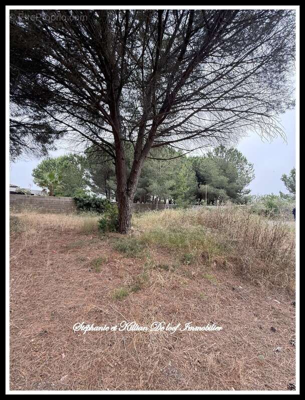 Terrain à AGDE