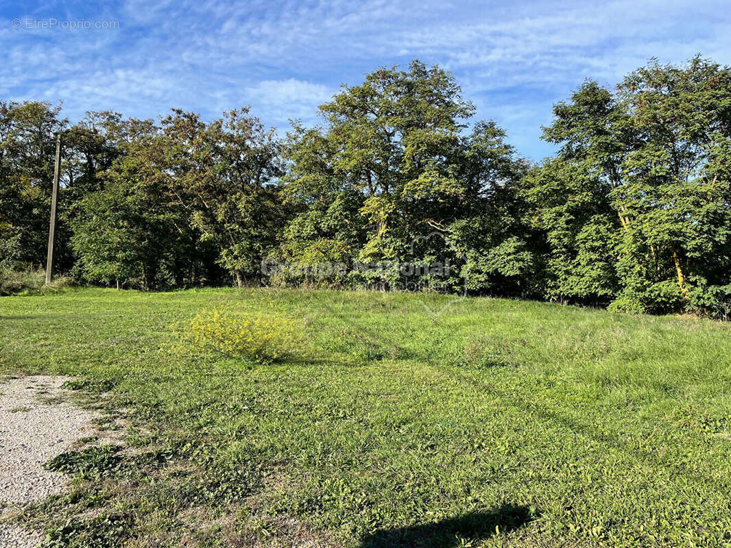 Terrain Rians 1032 m2 proche village - photo 5