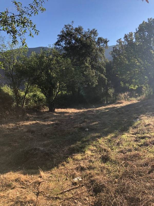 Terrain à OCCHIATANA