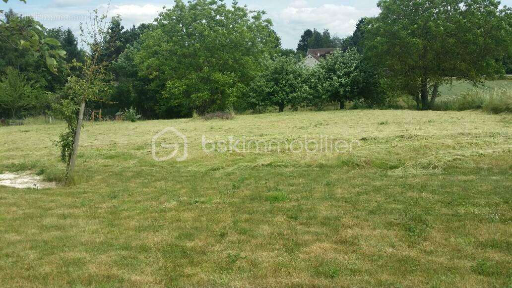 Terrain Constructible de 1095 m² à Savigny sur Clairis - photo 2
