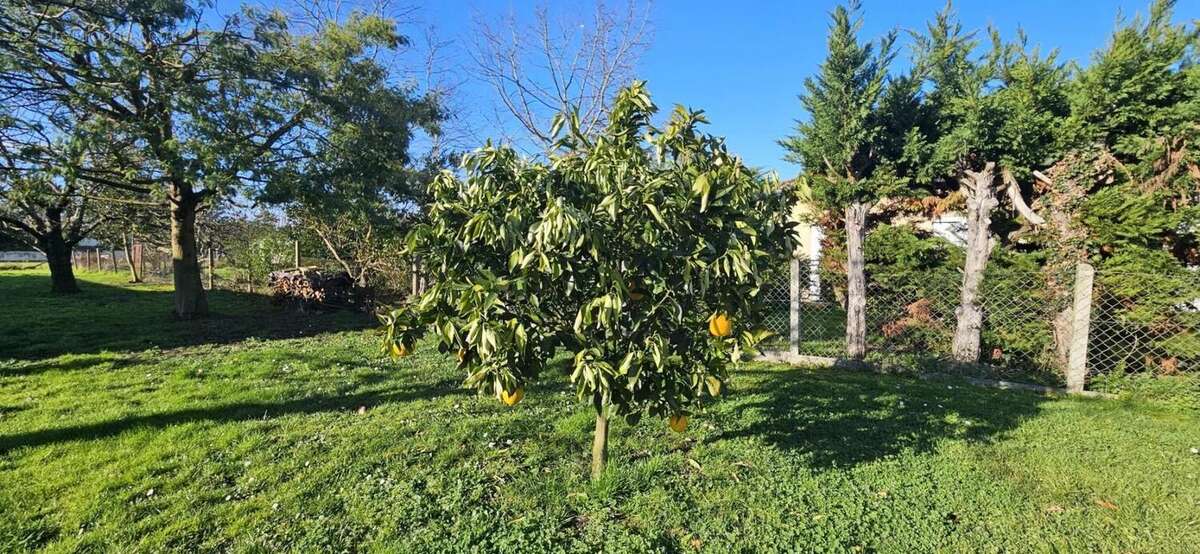 Maison à SAINT-LAURENT-DES-VIGNES