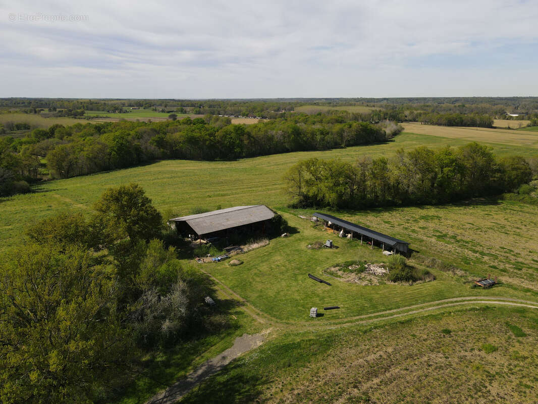 Maison à LABASTIDE-D'ARMAGNAC