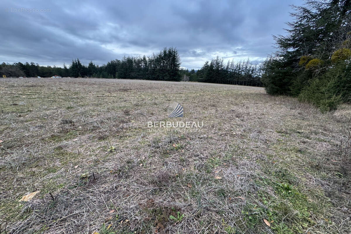 Terrain à SAULT