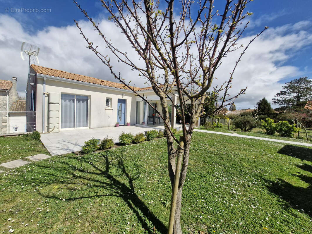 Maison à MESCHERS-SUR-GIRONDE