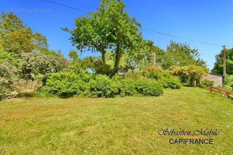 Maison à SAINT-AUBIN-DE-TERREGATTE