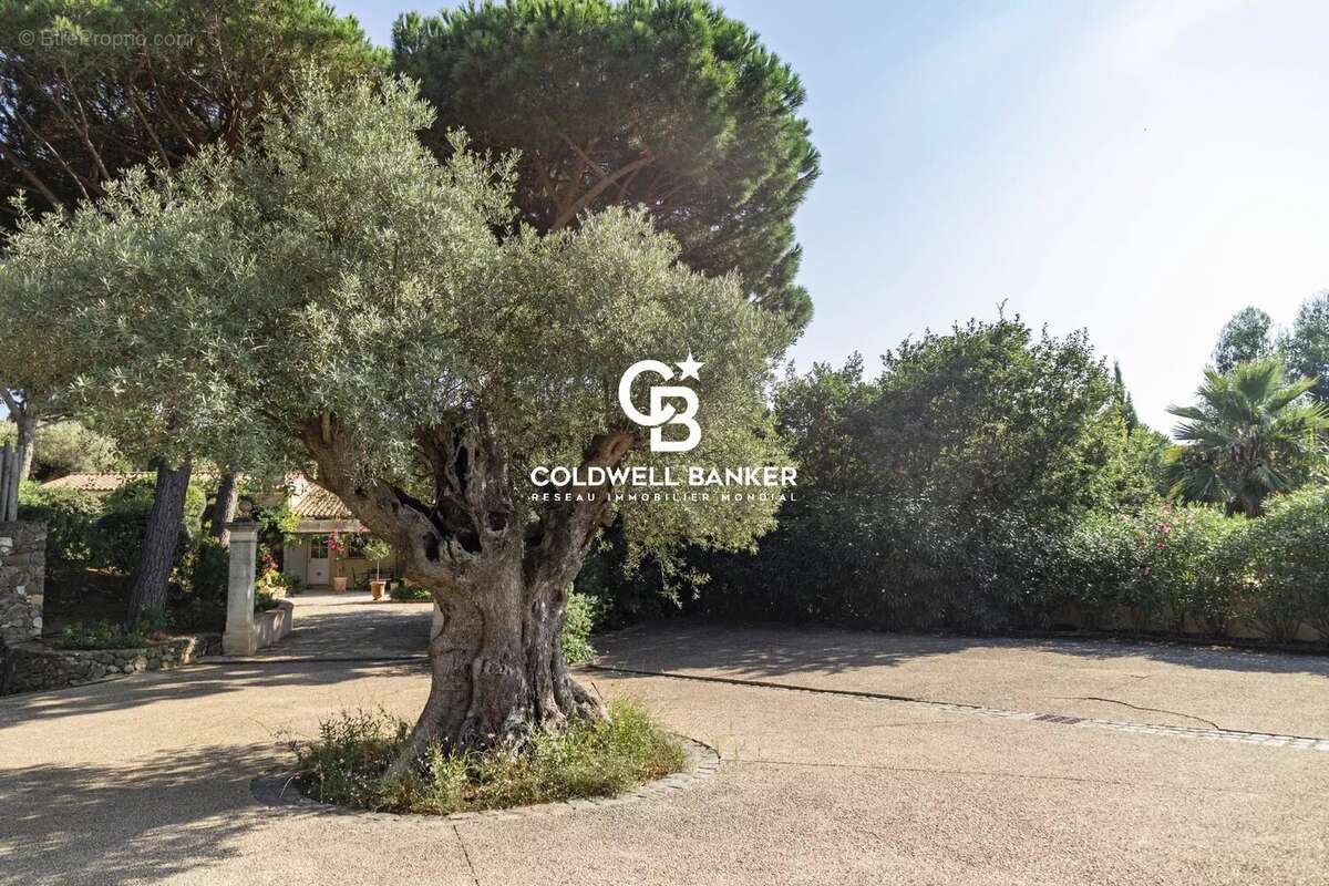 Maison à RAMATUELLE